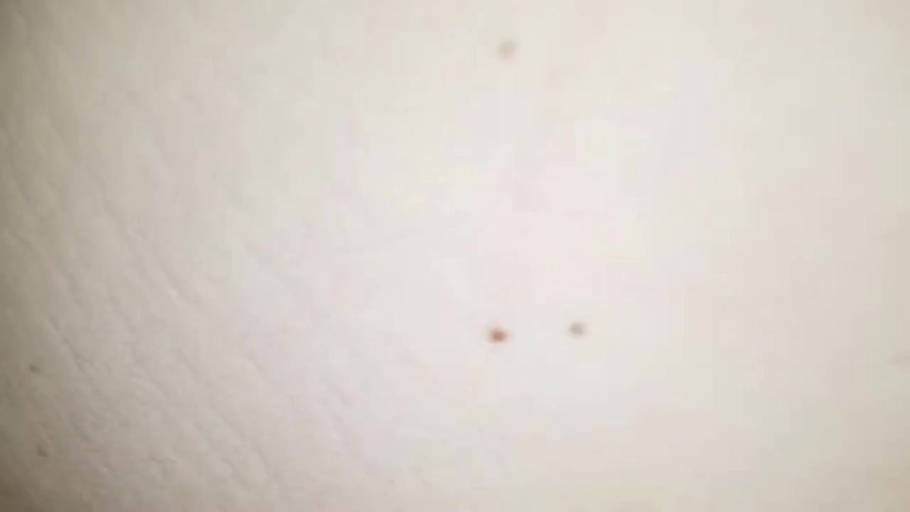 KcupQueen - My First Anal POV - ePornhubs