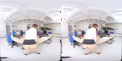 PRD VR 029