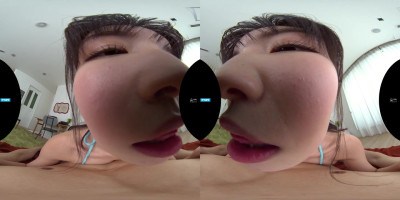 IP VR 216 B