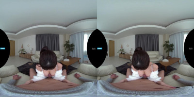 IP VR 230 C